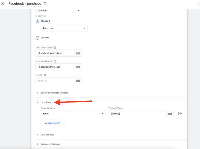 FB CAPI User Data