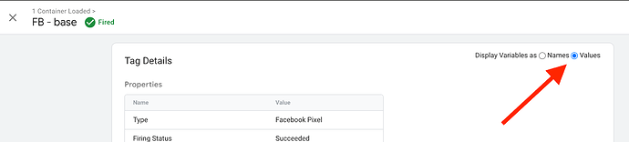 GTM Display Variables